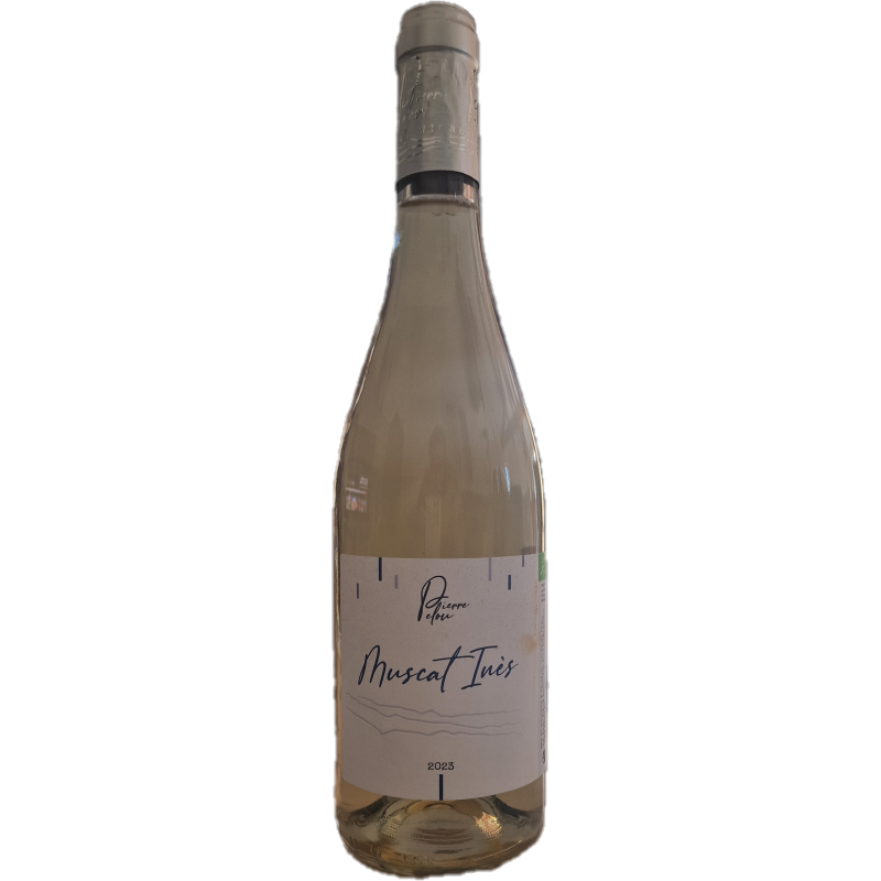 Muscat  Inès 2025