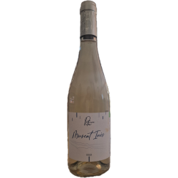 Muscat  Inès 2025